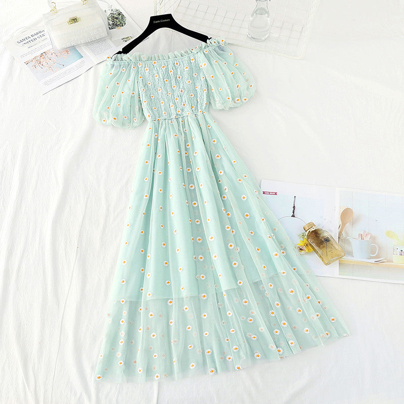Daisy Embroidered Mesh Dress  HA0791