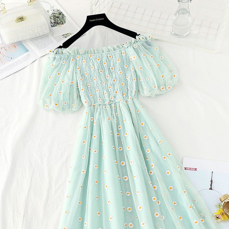 Daisy Embroidered Mesh Dress  HA0791