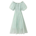 Daisy Embroidered Mesh Dress  HA0791
